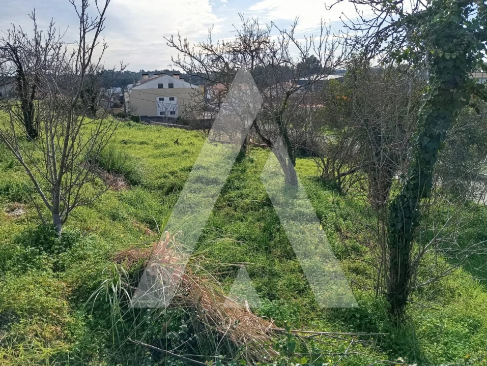 Moradia T2 para Venda em Oiã Foto 38