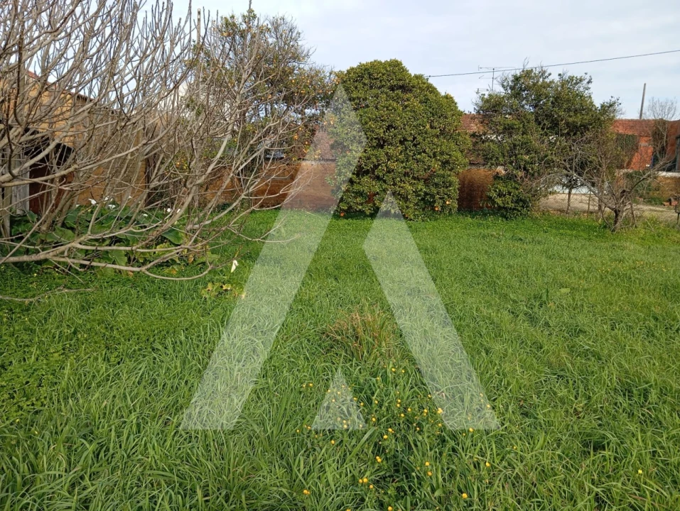 Moradia T2 para Venda em Oiã Foto 34