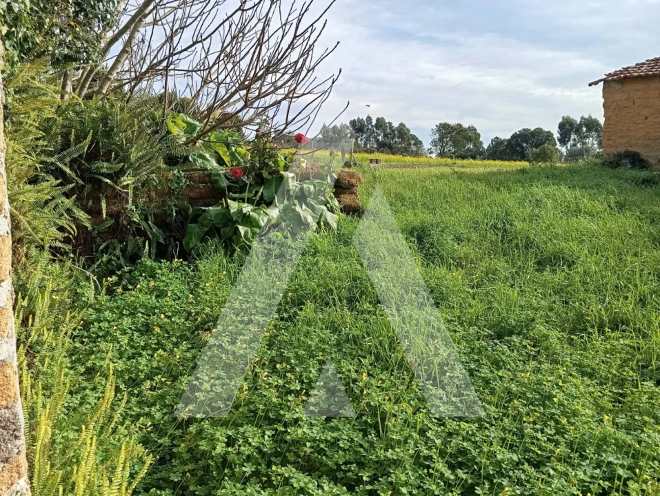 Moradia T2 para Venda em Oiã Foto 40