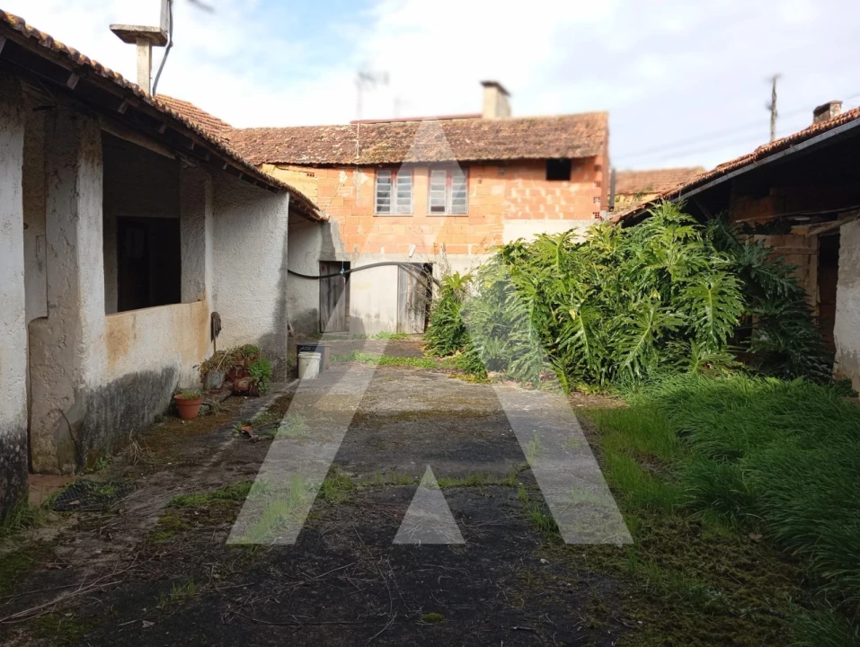 Moradia T2 para Venda em Oiã Foto 19