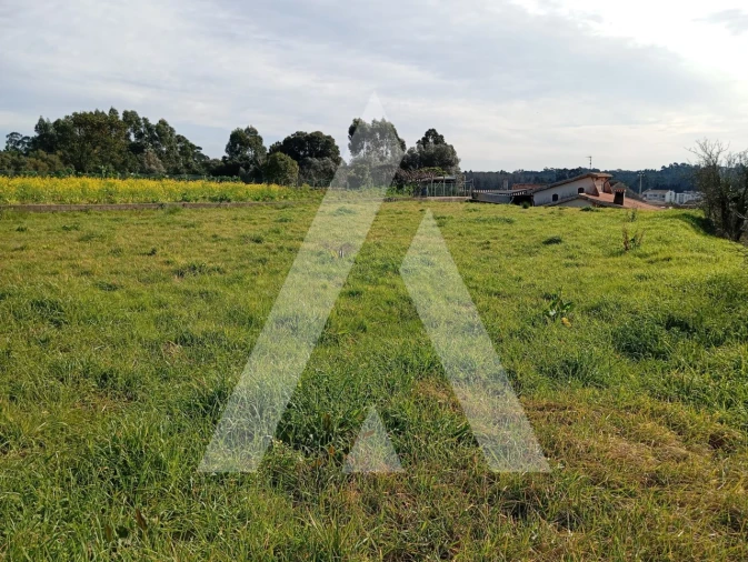 Moradia T2 para Venda em Oiã Foto 35