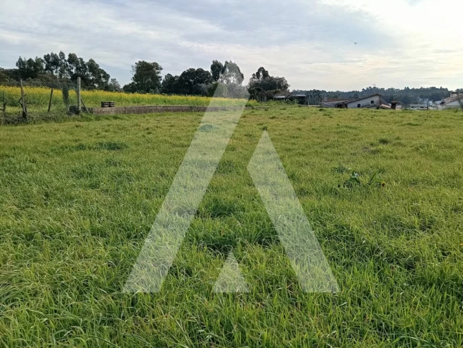 Moradia T2 para Venda em Oiã Foto 37