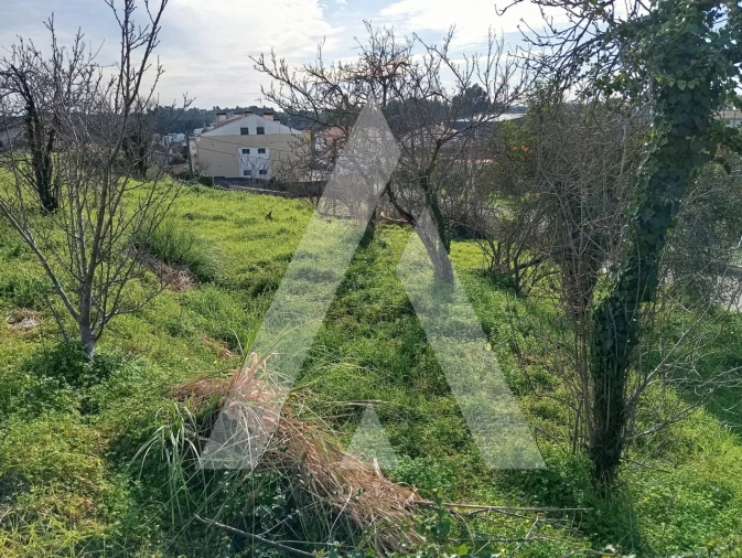 Moradia T2 para Venda em Oiã Foto 38