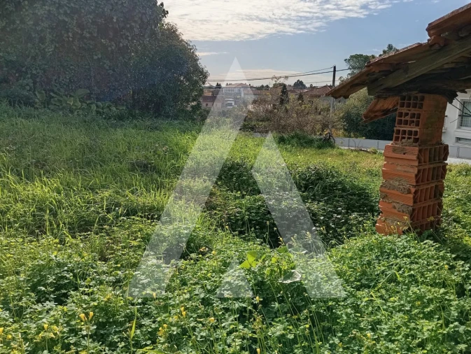 Moradia T2 para Venda em Oiã Foto 39