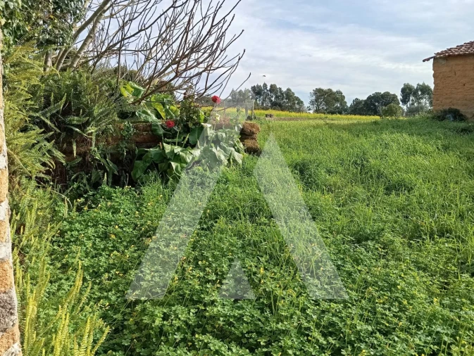 Moradia T2 para Venda em Oiã Foto 40