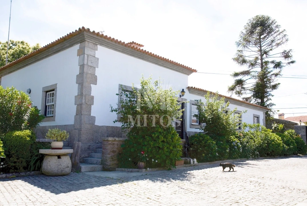 Quinta T7 para Venda em Seixas Foto 1