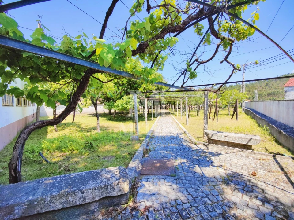 Quinta T7 para Venda em Seixas Foto 25