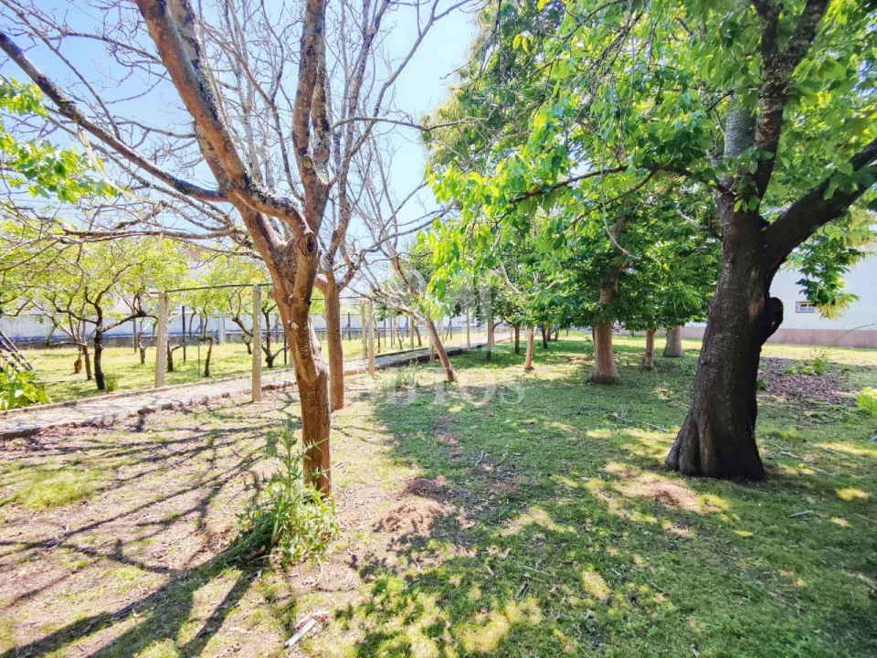 Quinta T7 para Venda em Seixas Foto 27