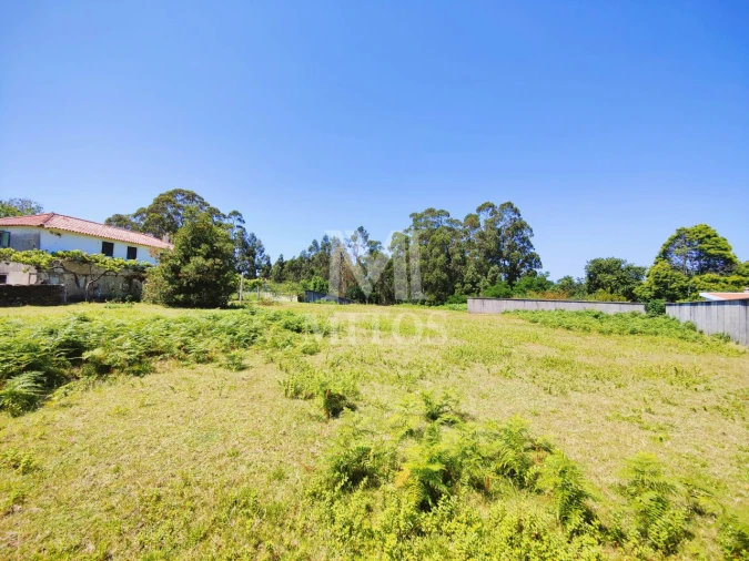 Quinta T7 para Venda em Seixas Foto 31