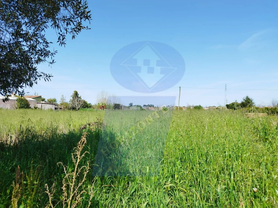 Terreno para Venda em Bustos, Troviscal e Mamarrosa Foto 2