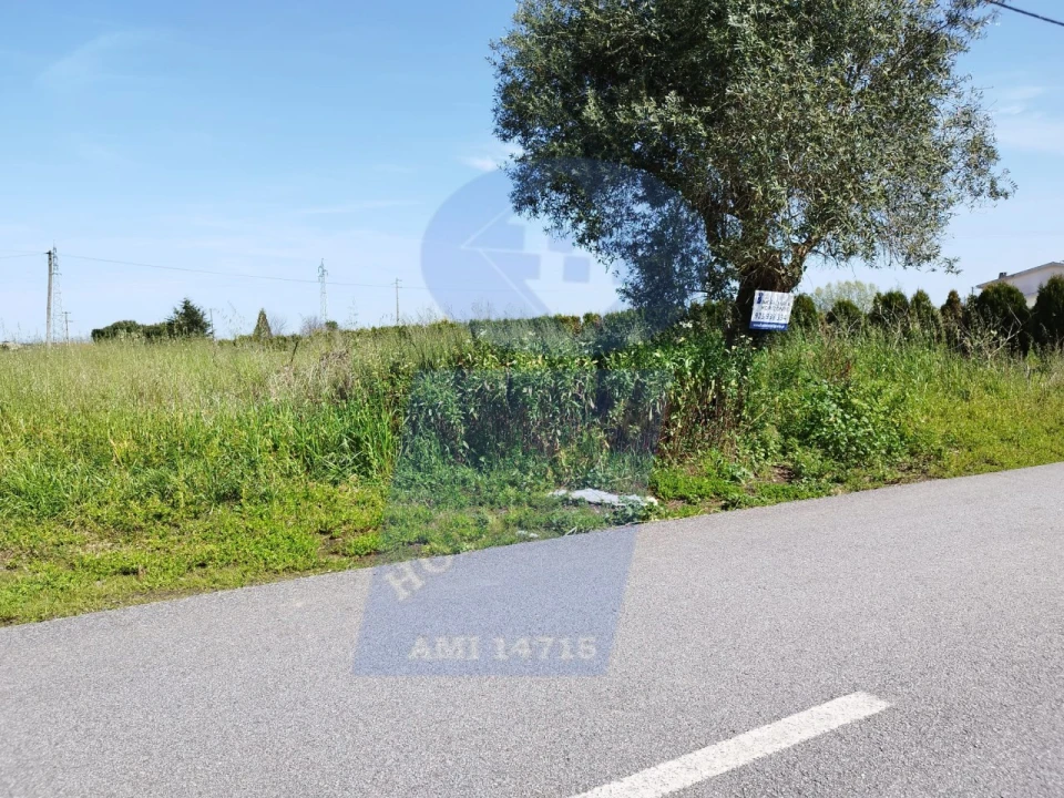 Terreno para Venda em Bustos, Troviscal e Mamarrosa Foto 4