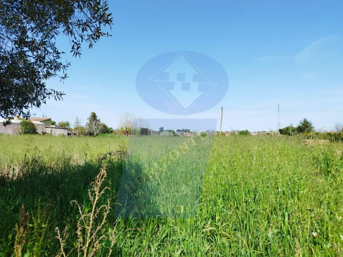 Terreno para Venda em Bustos, Troviscal e Mamarrosa Foto 2