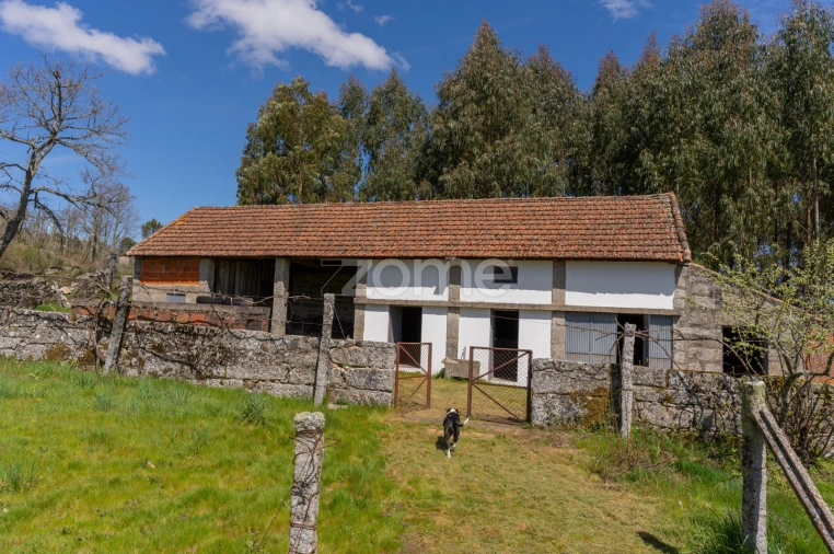 Quinta T3 para Venda em Vreia de Jales Foto 67