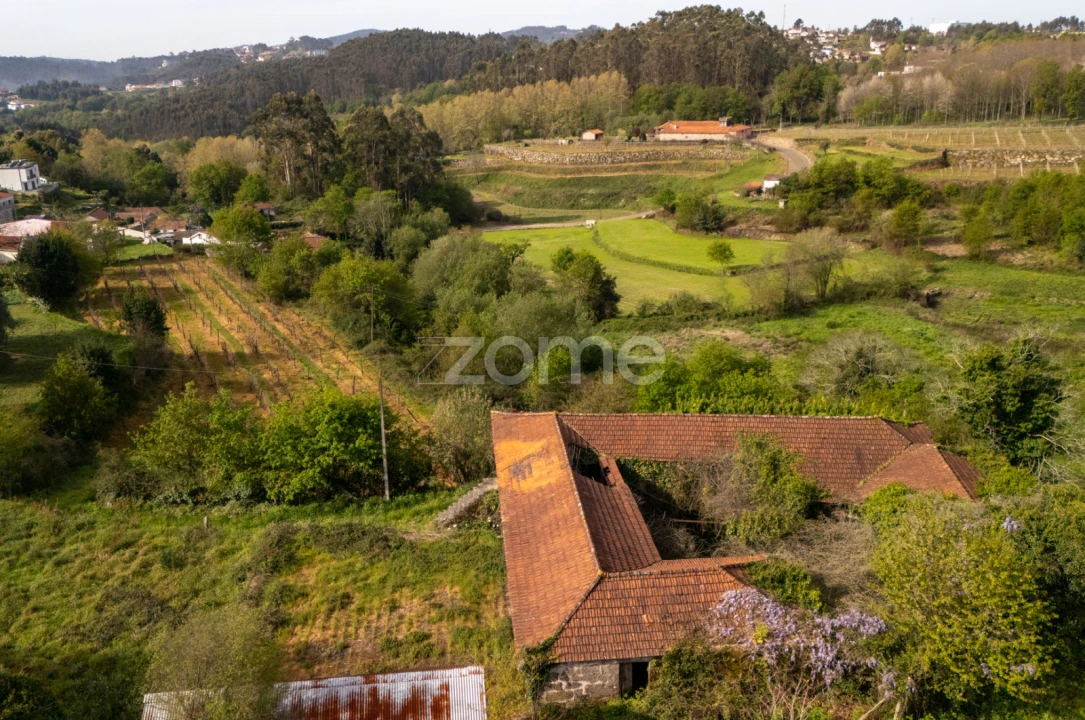 Quinta T8 para Venda em Sobrosa Foto 6