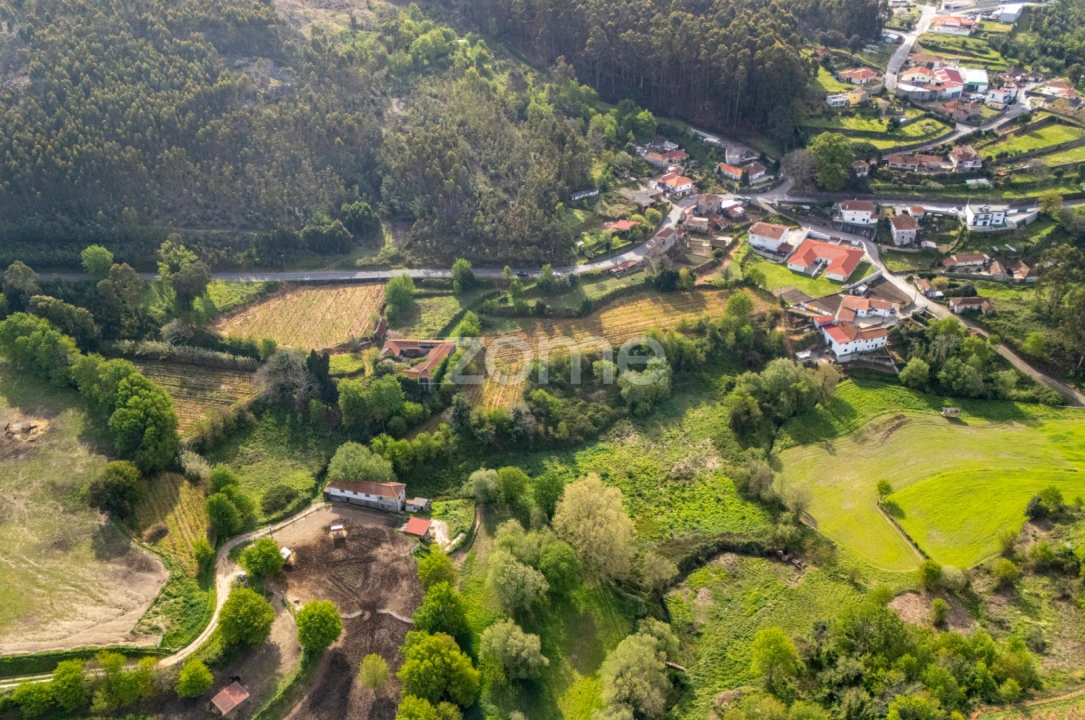 Quinta T8 para Venda em Sobrosa Foto 8