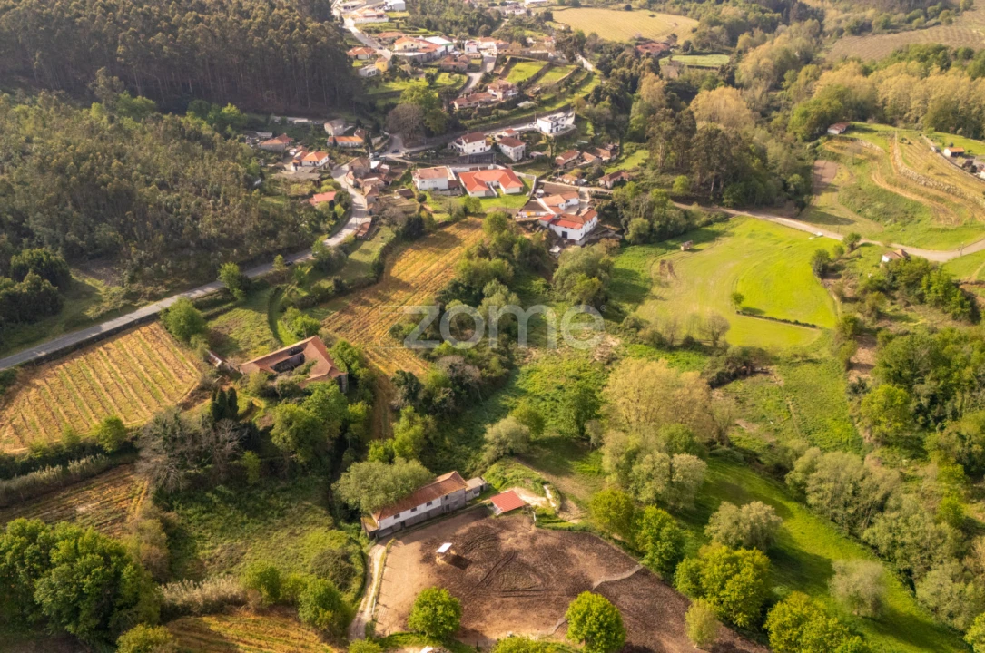 Quinta T8 para Venda em Sobrosa Foto 9