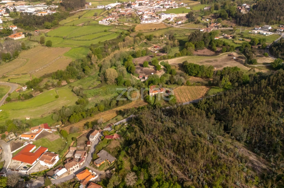Quinta T8 para Venda em Sobrosa Foto 10