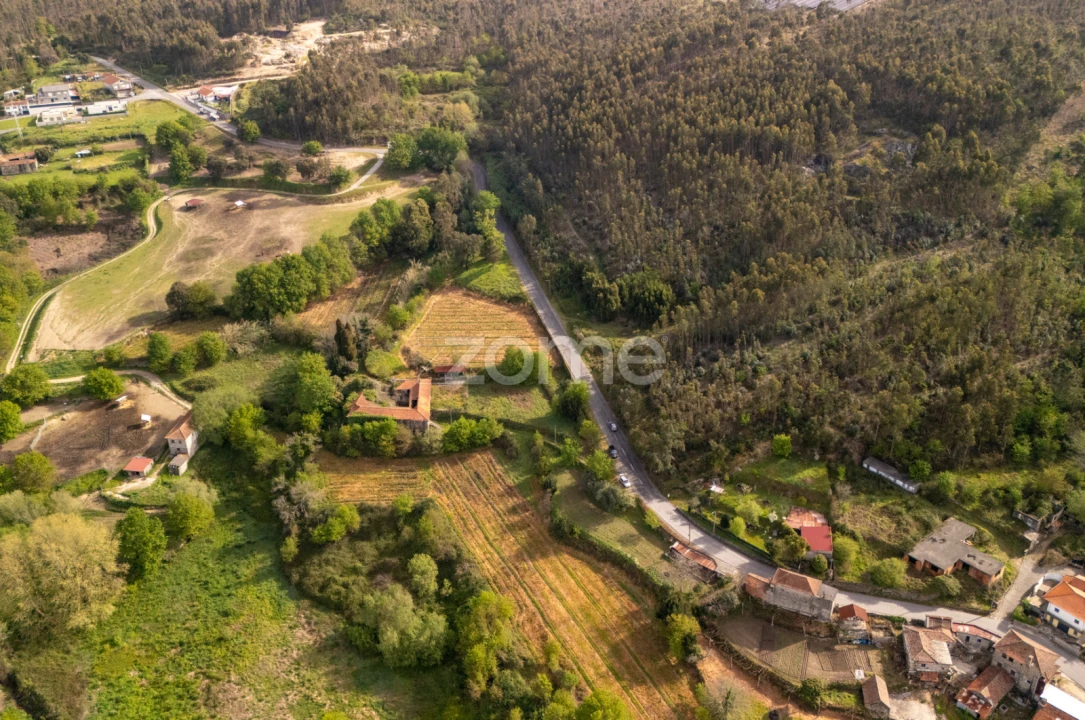 Quinta T8 para Venda em Sobrosa Foto 11