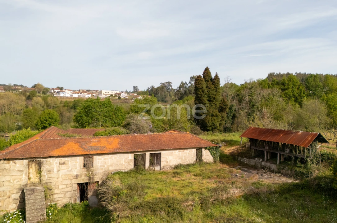 Quinta T8 para Venda em Sobrosa Foto 3