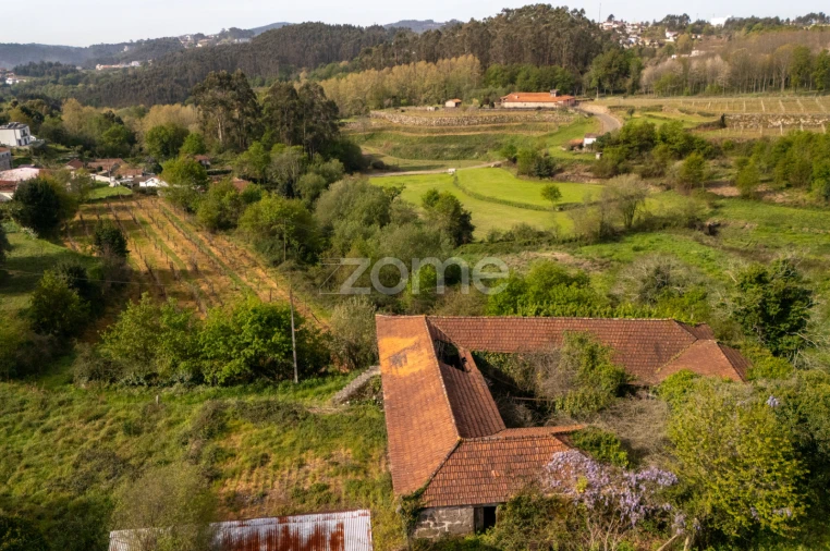 Quinta T8 para Venda em Sobrosa Foto 6