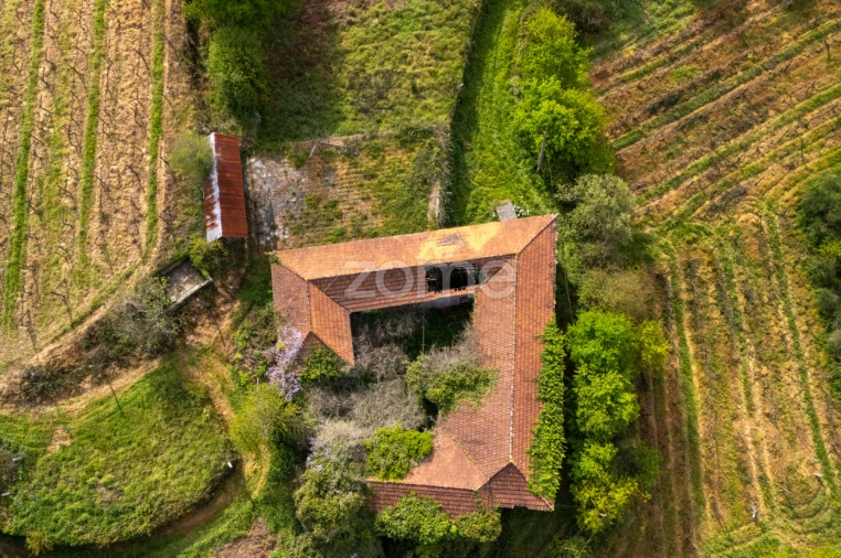 Quinta T8 para Venda em Sobrosa Foto 4