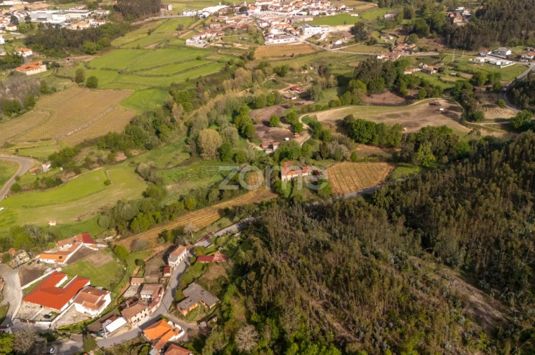 Quinta T8 para Venda em Sobrosa Foto 10