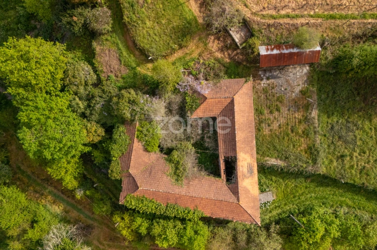 Quinta T8 para Venda em Sobrosa Foto 5