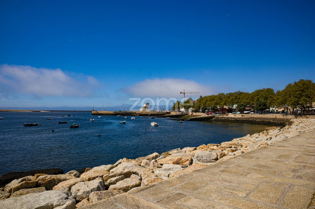 Apartamento T3 para Arrendamento em Aldoar, Foz do Douro e Nevogilde Foto 29