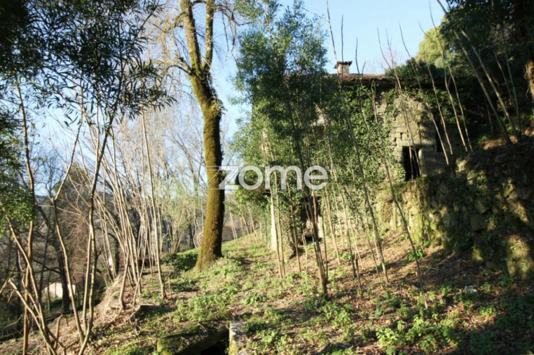 Moradia T3 para Venda em Briteiros São Salvador e Briteiros Santa Leocádia Foto 9