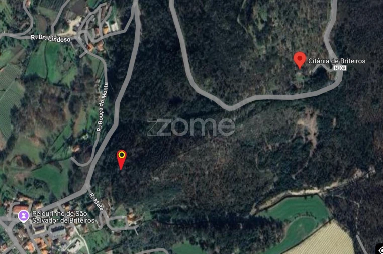 Moradia T3 para Venda em Briteiros São Salvador e Briteiros Santa Leocádia Foto 1