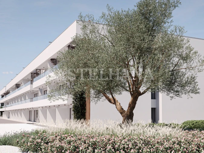 Apartamento para Venda em Lagoa e Carvoeiro Foto 11