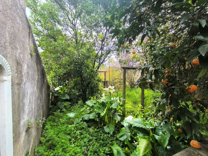 Moradia T3 para Venda em Mação, Penhascoso e Aboboreira Foto 18