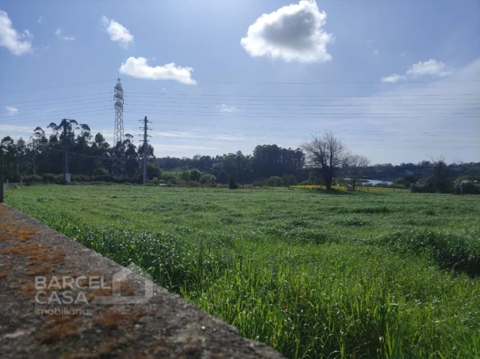 Terreno para Venda em Gemeses Foto 11