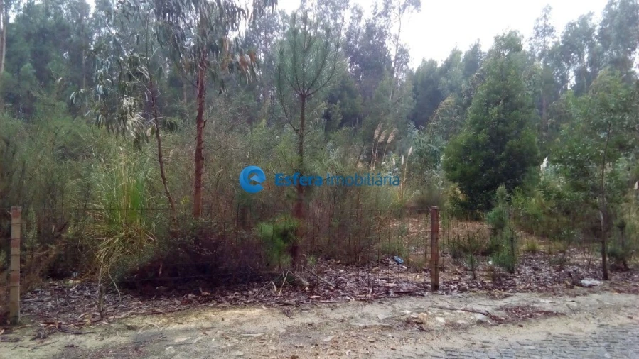 Terreno para Venda em Retorta e Tougues Foto 3