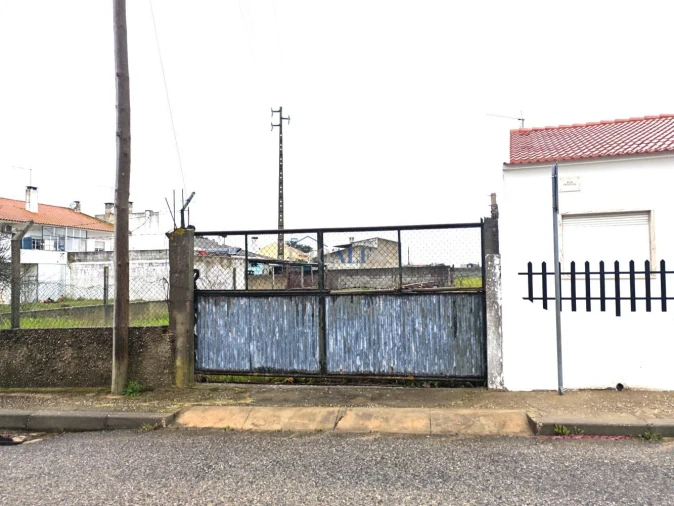 Terreno para Venda em Alpiarça Foto 11