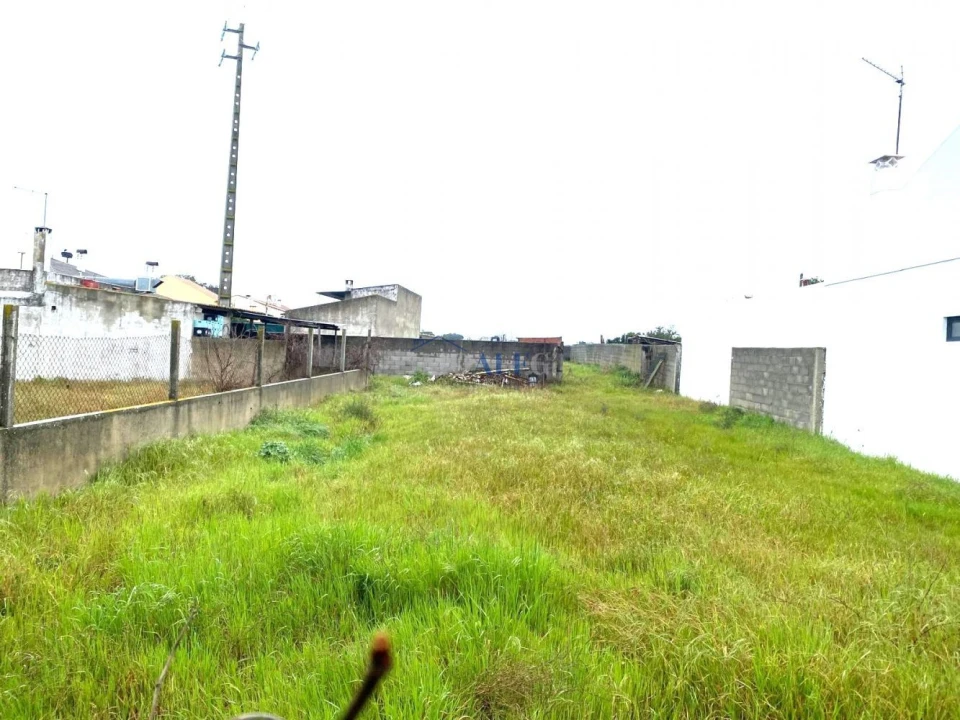 Terreno para Venda em Alpiarça Foto 6
