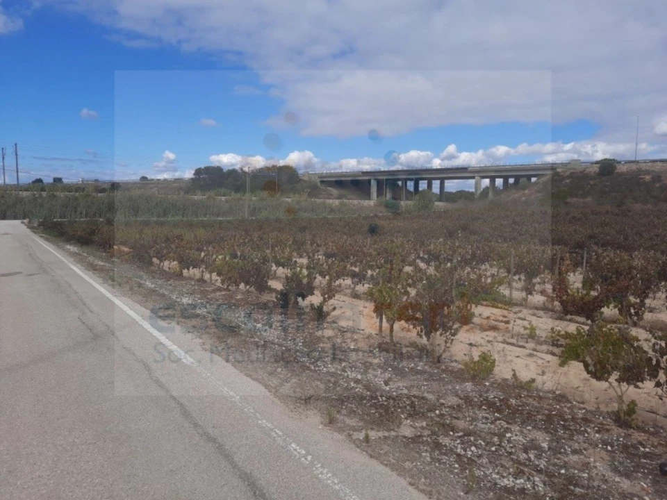 Terreno para Venda em Pinhal Novo Foto 3