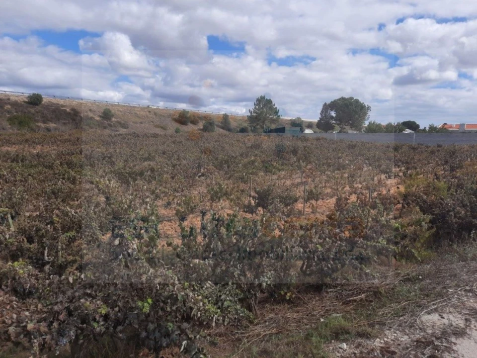 Terreno para Venda em Pinhal Novo Foto 4