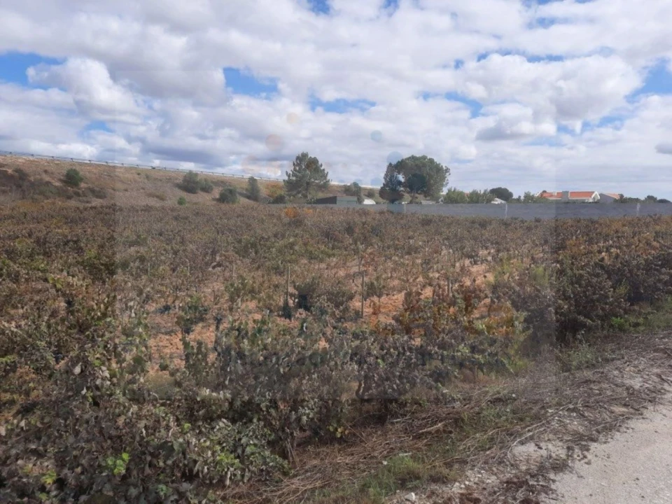 Terreno para Venda em Pinhal Novo Foto 5