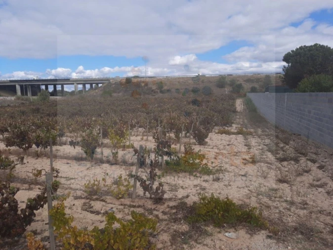 Terreno para Venda em Pinhal Novo