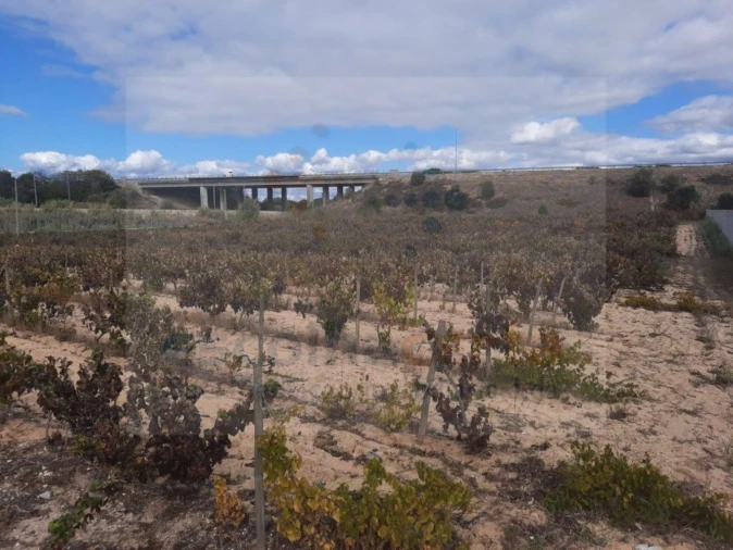 Terreno para Venda em Pinhal Novo Foto 2