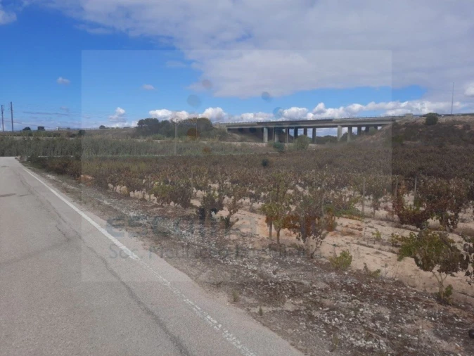 Terreno para Venda em Pinhal Novo Foto 3