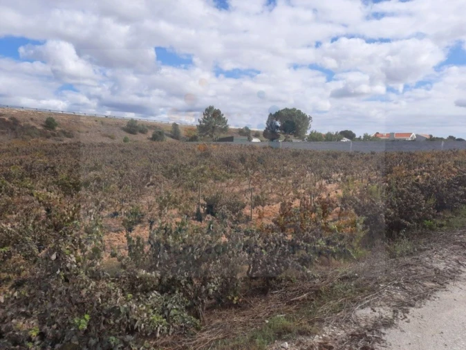 Terreno para Venda em Pinhal Novo Foto 5