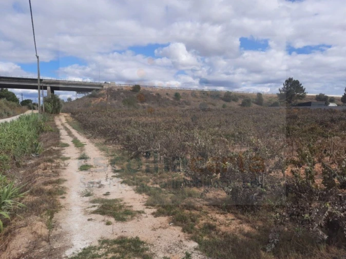 Terreno para Venda em Pinhal Novo Foto 6
