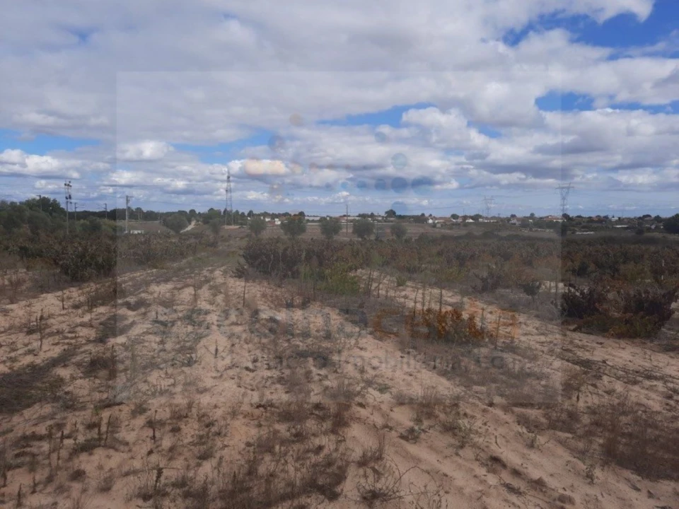 Terreno para Venda em Pinhal Novo Foto 2