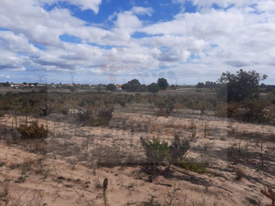 Terreno para Venda em Pinhal Novo Foto 1