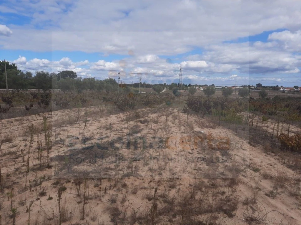 Terreno para Venda em Pinhal Novo Foto 3