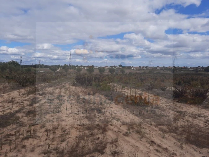 Terreno para Venda em Pinhal Novo Foto 2