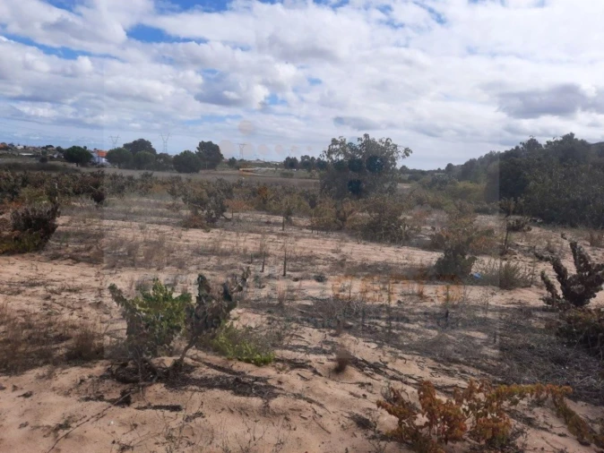 Terreno para Venda em Pinhal Novo Foto 4