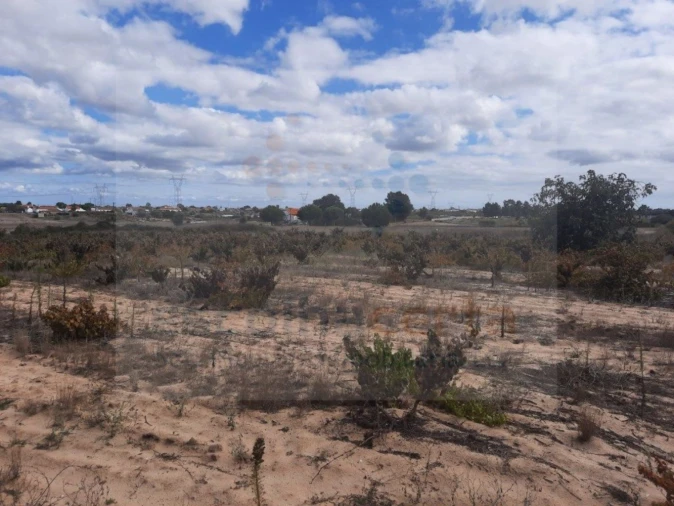 Terreno para Venda em Pinhal Novo